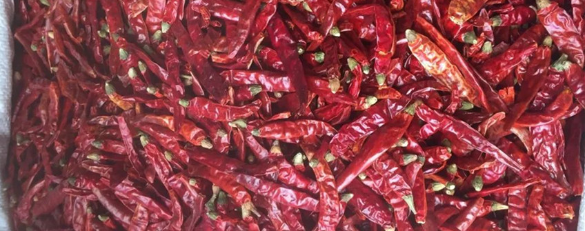 印度辣椒干入口操作流程