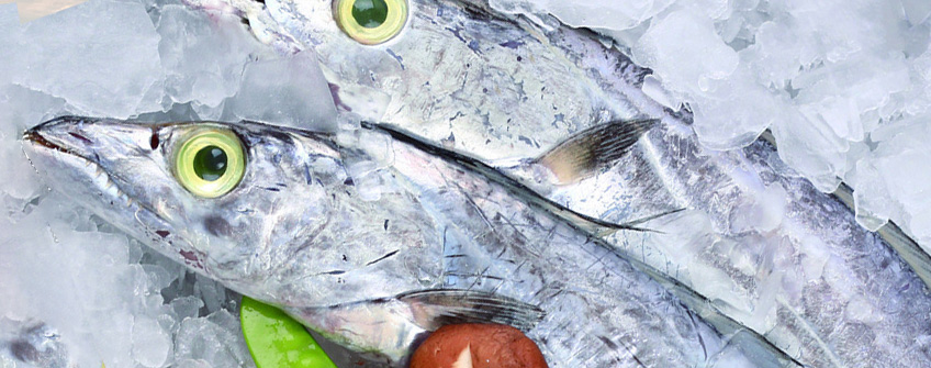 冻带鱼入口报关注重事项？？？？？