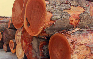 木料入口报关怎样申报？？？？？？木料入口清关注重事项？？？？？？