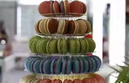 冻柜食物出口海运加拿大代理