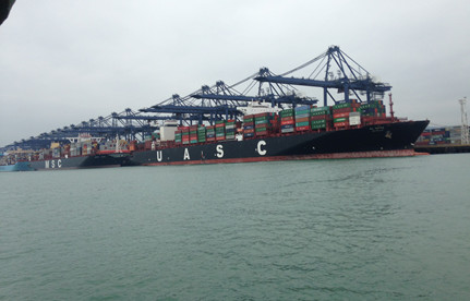 巴西鸡爪入口清关的提单是哪种