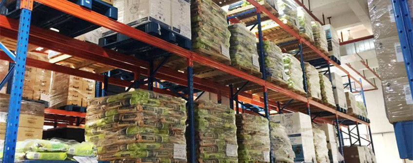 宠物粮入口报关流程