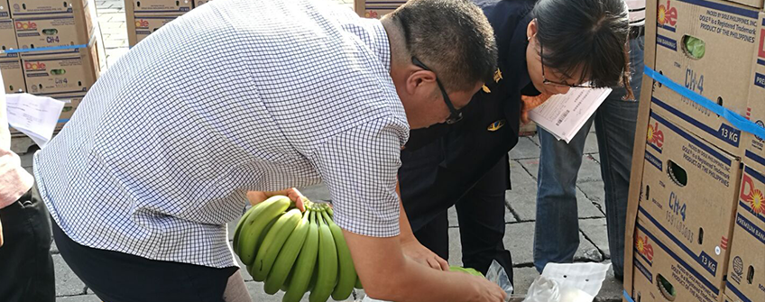 水果入口报关流程和所需资质及单证