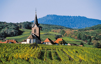 葡萄酒入口报关：法国红酒入口报关要素有哪些？？？？？