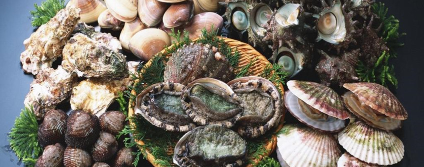 海鲜怎么入口报关？？？？？有哪些注重事项？？？？？