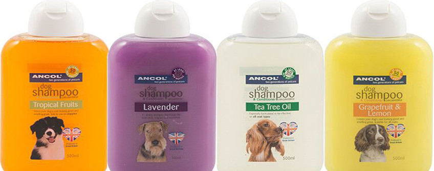 深圳入口报关：宠物沐浴露清关用度有哪些？？？？？？？